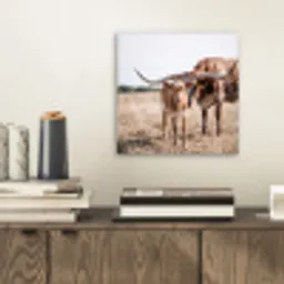 Texas Longhorn - Kalf - Weide - Dieren aluminium wit klein -sfeer1