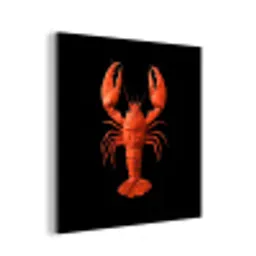 Kreeft - Papier - Origami papier - Rood aluminium wit klein -3d