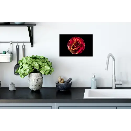 Bloem - Roos - Rood - Zwart Muursticker klein -keuken