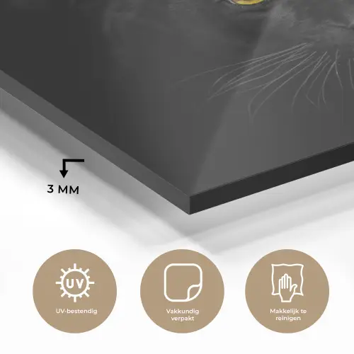 Panter - Dieren - Zwart - Ogen plexiglas 5mm klein -sfeer2