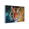 Tijger - Dieren - Olieverf - Kunst plexiglas 5mm klein -z3d