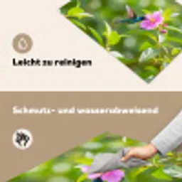 Kolibrie - Bloem - Natuur - Groen Inductie beschemer met haakjes klein -ky-schoon-de