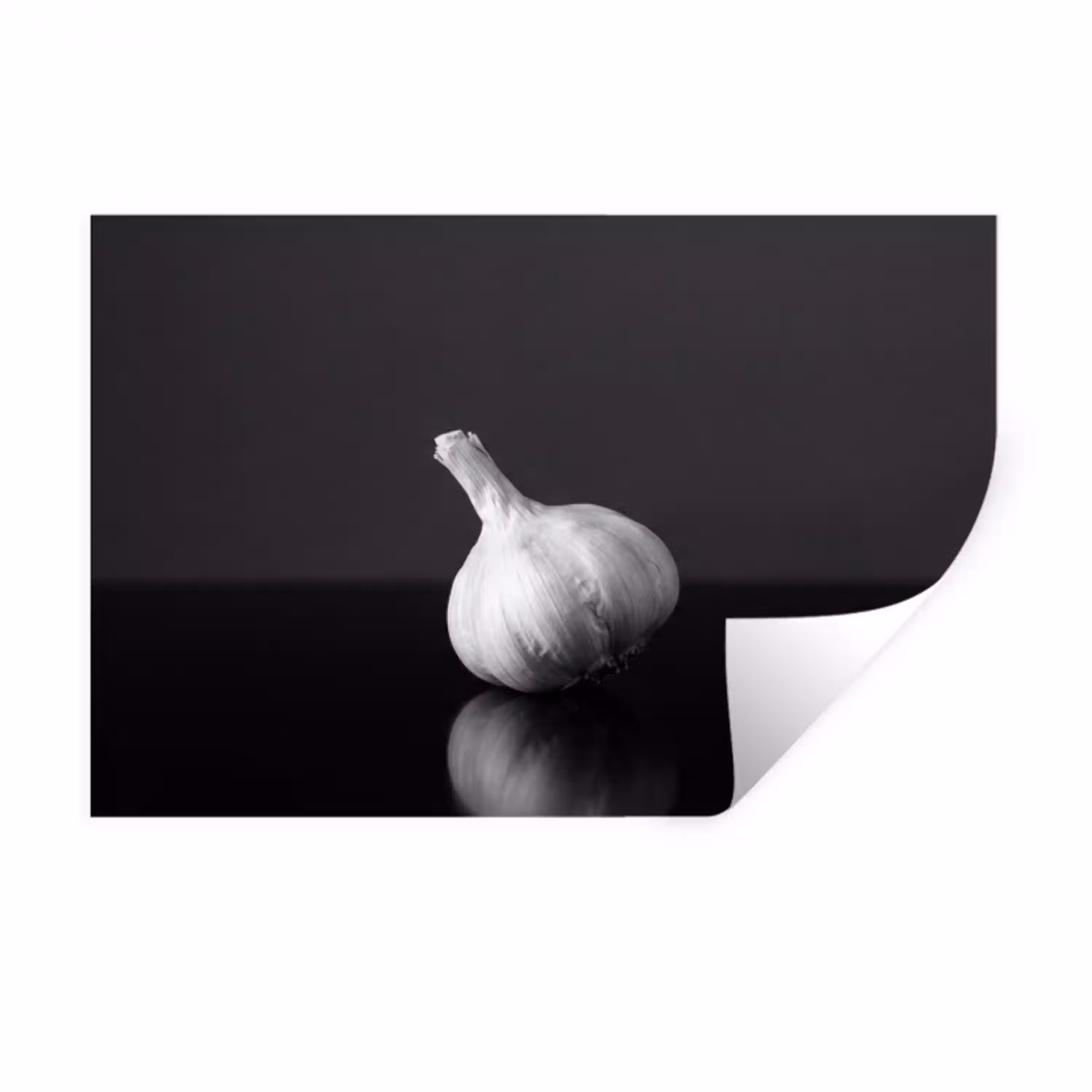 Knoflook - Zwart - Wit Muursticker klein -3d
