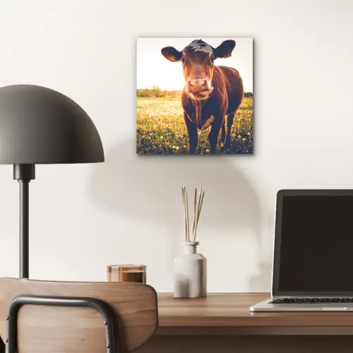 Koe - Zonsondergang - Bloemen - Gras - Dieren aluminium wit klein -sfeer5