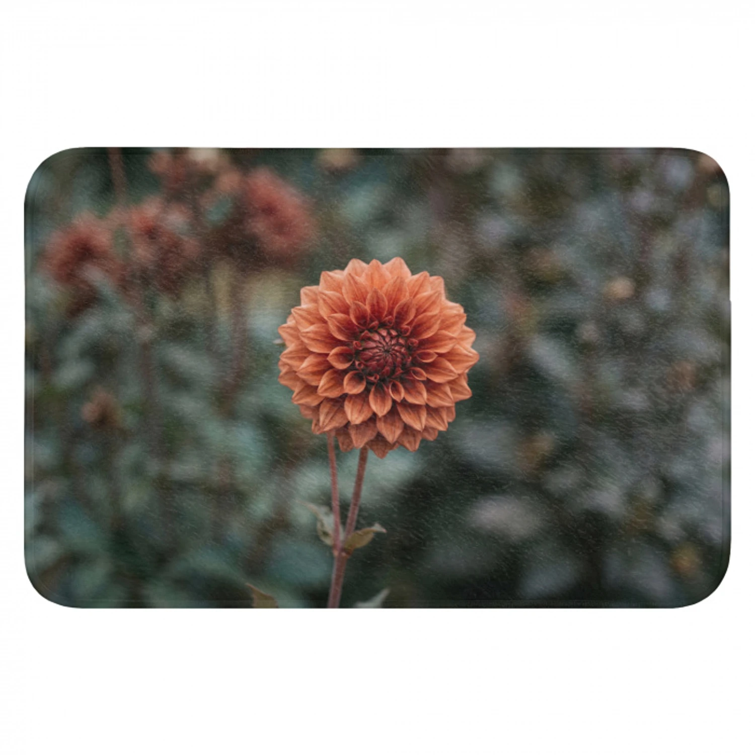 Dahlia - Bloem - Natuur - Sfeervol Badmat klein -3d