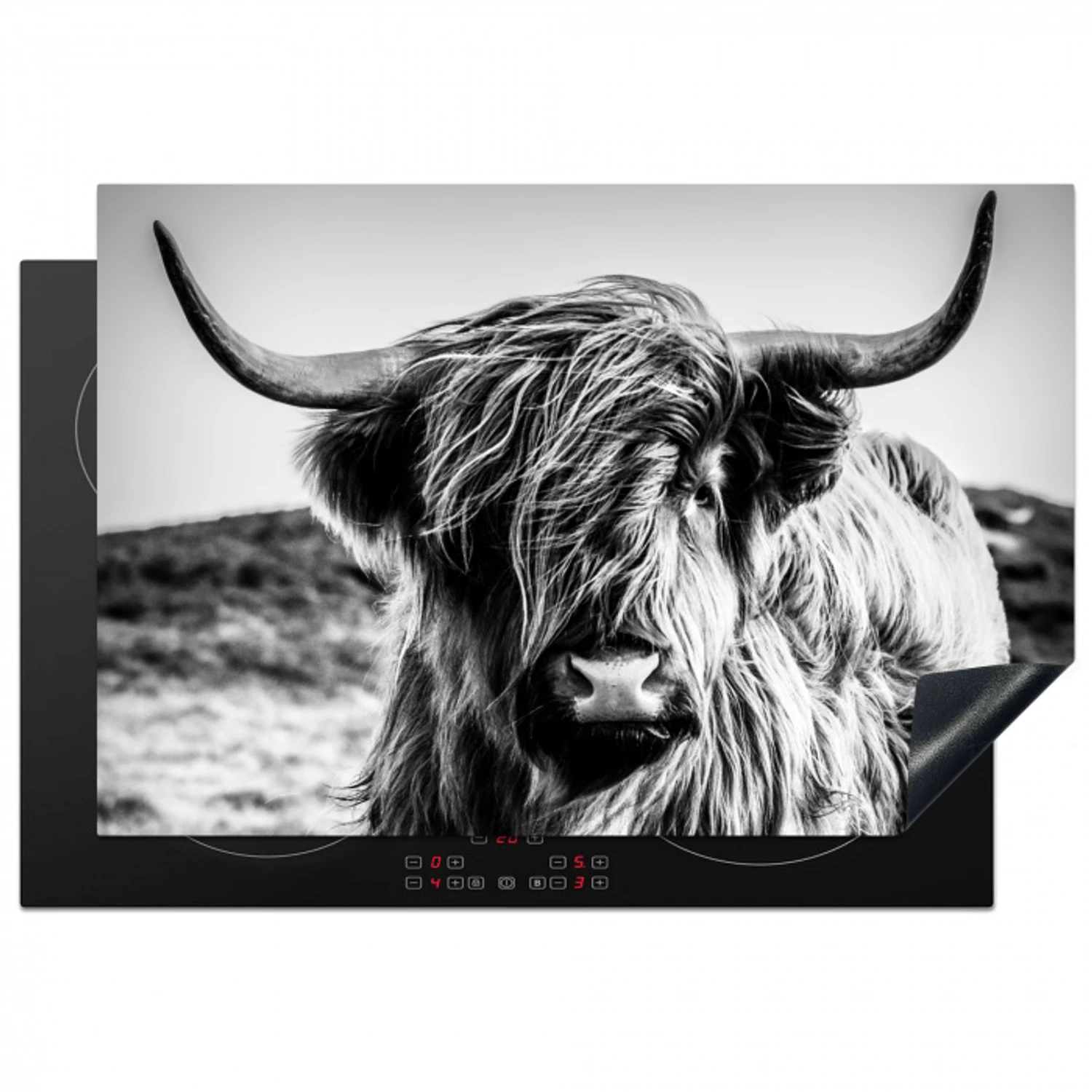 Schotse hooglander - Natuur - Koe - Zwart - Wit Inductie beschermer vinyl 3mm klein -3d