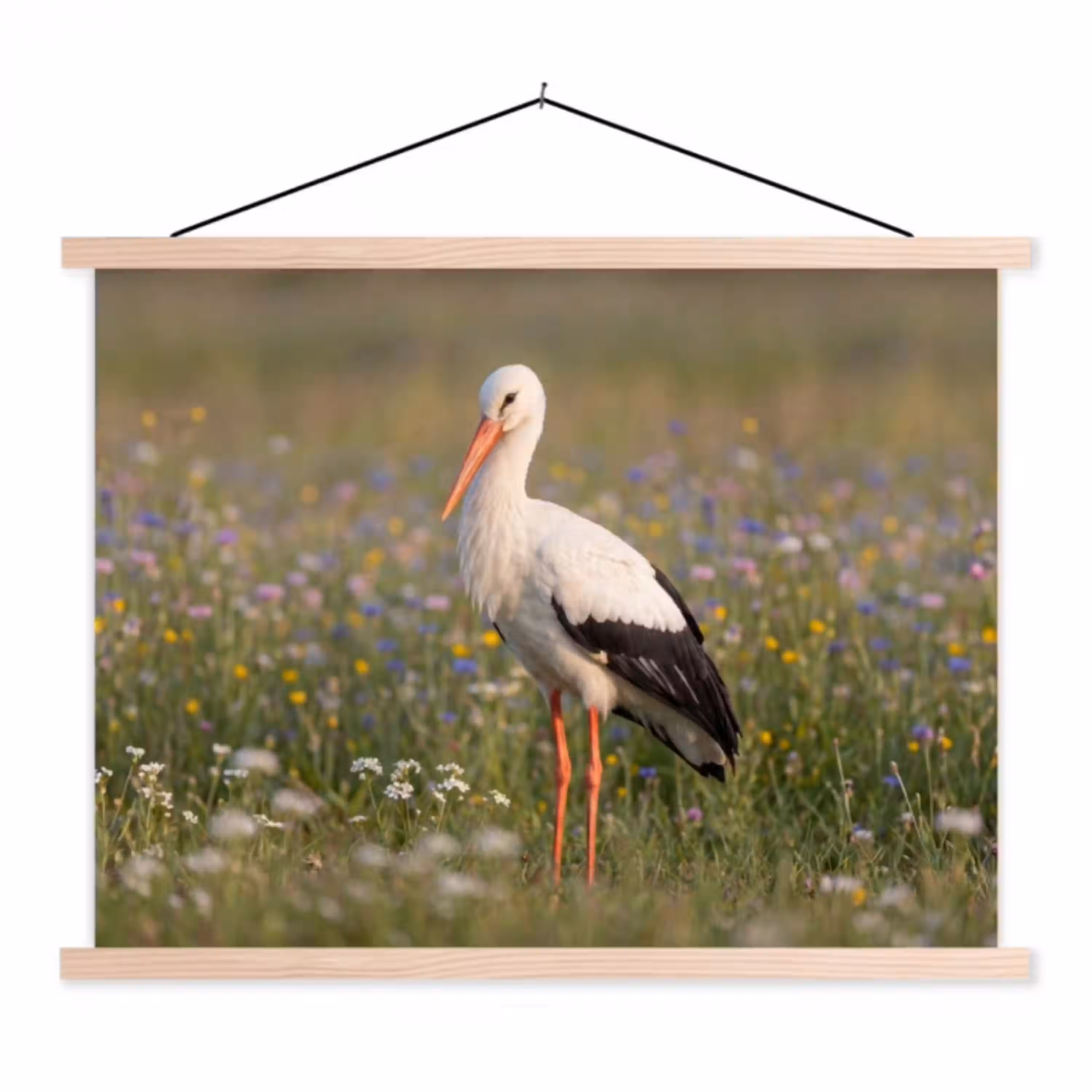 Ooienvaar - Bloemen - Weide - Kleurrijk textielposter latten blank klein -3d