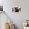 Schotse hooglander - Bruin - Water tuinposter los doek klein -sfeer8
