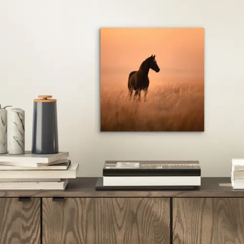 Paard - Grasveld - Zonsondergang aluminium wit klein -sfeer1