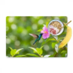 Kolibrie - Bloem - Natuur - Groen Placemat vinyl groot -zzzproduct_Kitchenyeah-website
