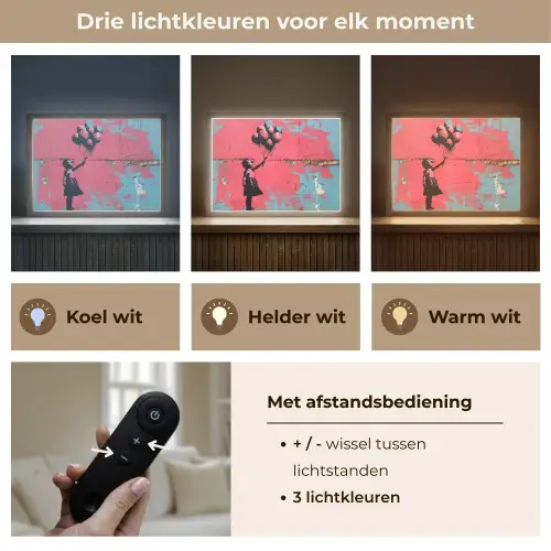 Graffiti - Meisje - Ballon - Roze - Blauw - Street art Light Box met batterij (Wandlamp) middel -USP_lichtkleurNL
