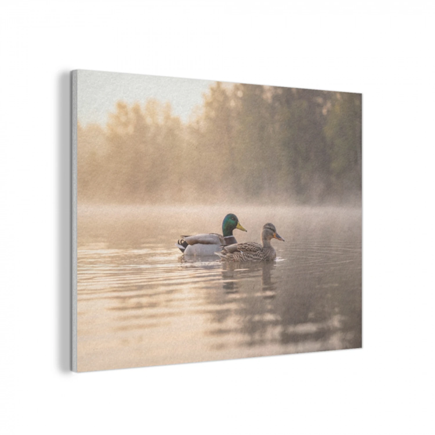 Eenden - Water - Mist - Natuur PET vilt klein -3d