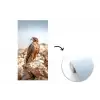 Valk - Vogel - Rots - Macht fotobehang vinyl groot -3d