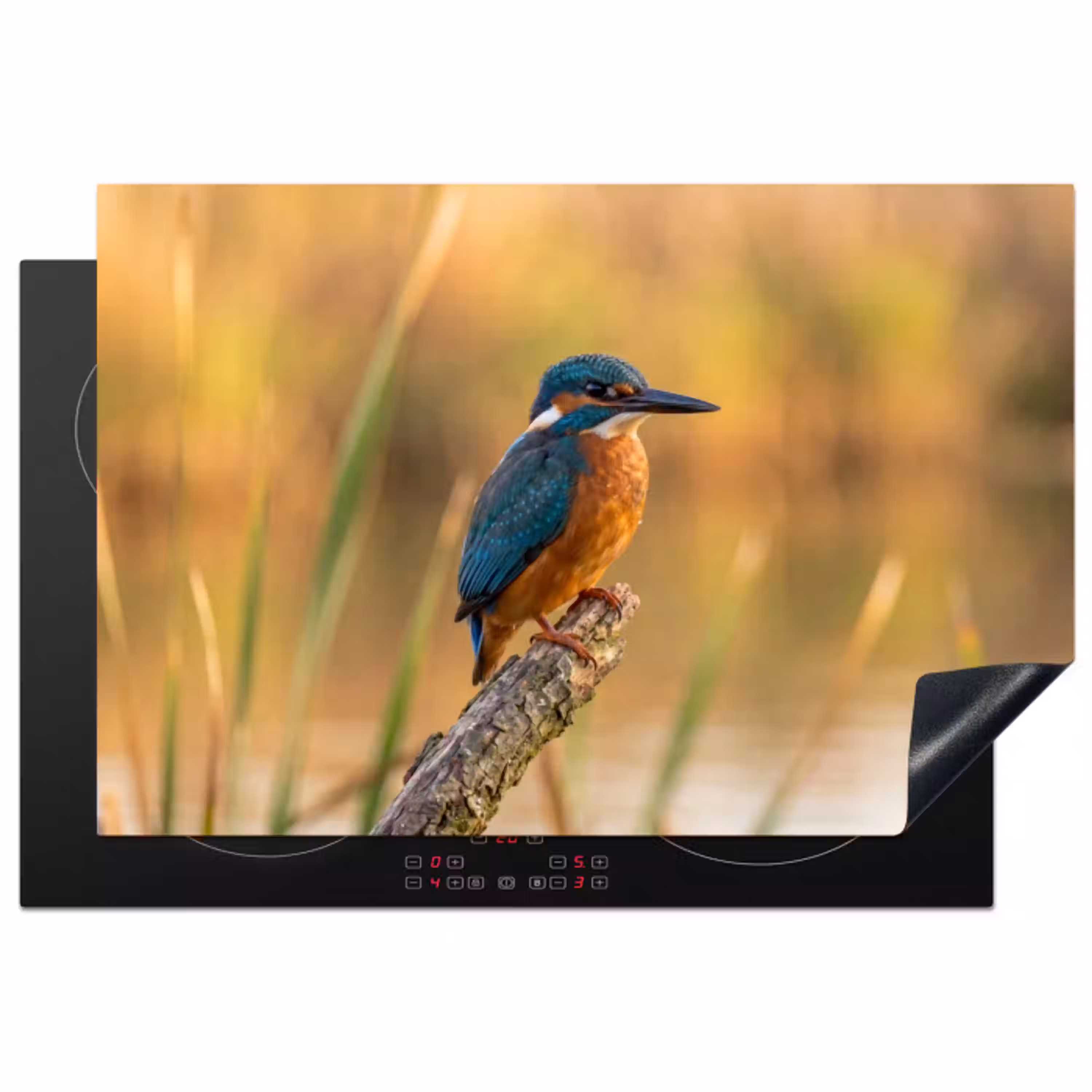 IJsvogel - Tak - Water - Kleurrijk - Levendig Inductie beschermer vinyl 3mm klein -3d