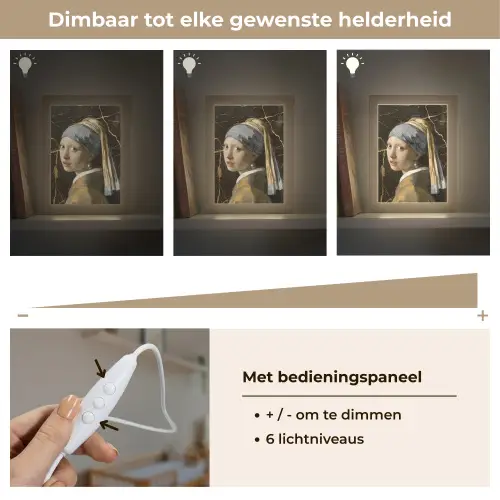Meisje met de parel - Johannes Vermeer - Goud Light Box met kabel (Wandlamp) klein -USP_dimbaarNL