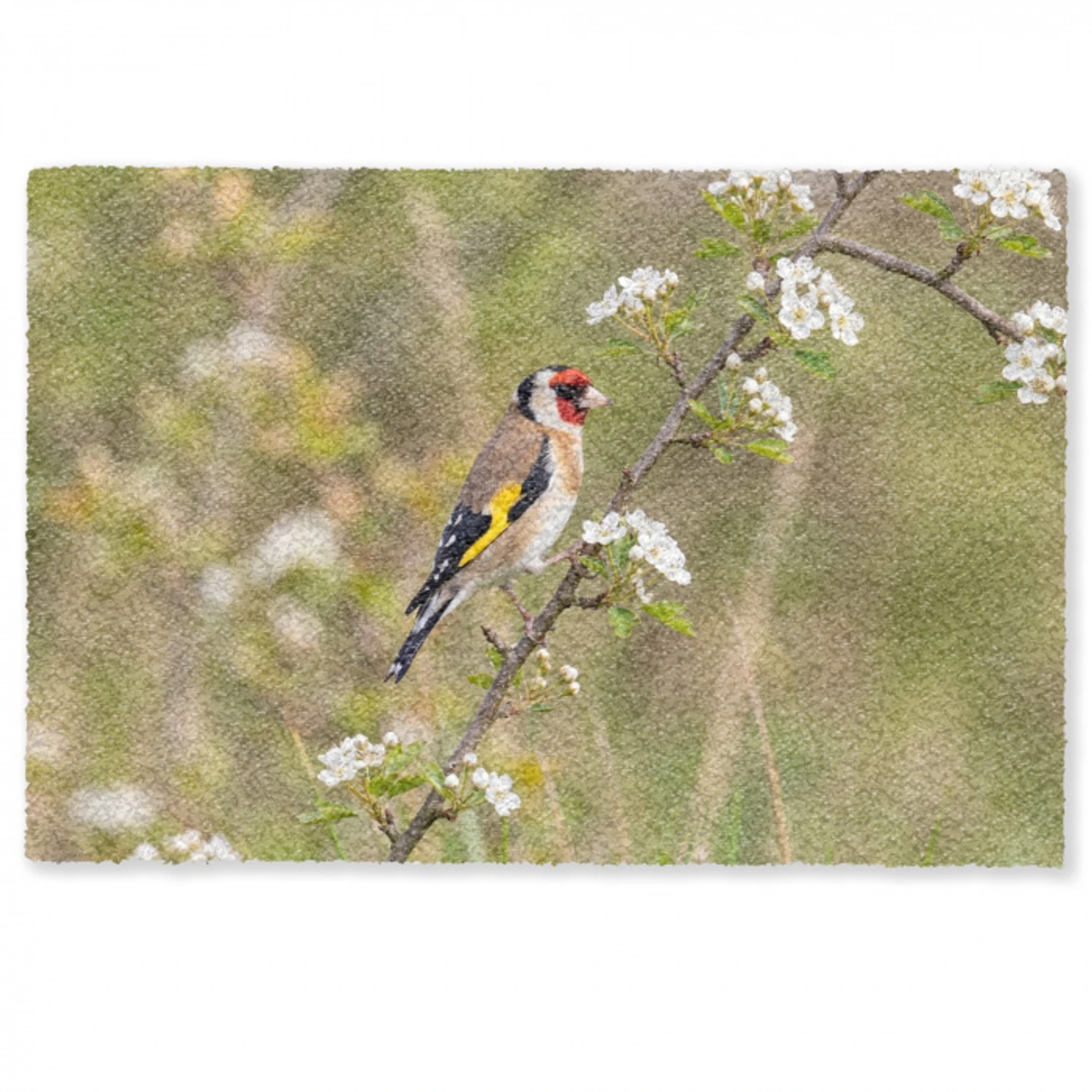 Putter - Bloesem - Lente - Natuur - Kleurrijk Deurmat klein -zkaufland3d