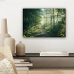 Bos - Pad - Zon - Bomen - Groen - Natuur canvas 2cm klein -sfeer6