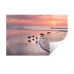 Meeuwen - Strand - Zee - Roze Muursticker klein -3d