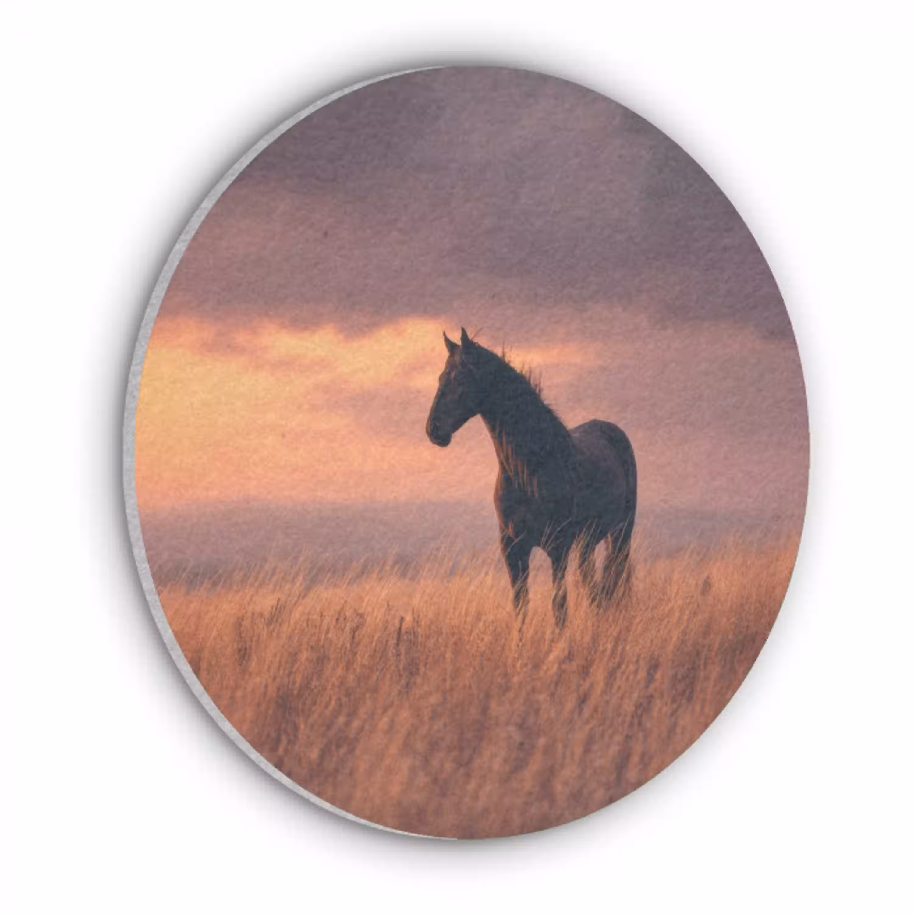 Paard - Wolken - Open veld Akoestische PET Vilt - Rond klein -3d