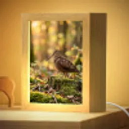 Houtsnip - Bos - Bladeren - Herfst - Gecamoufleerd Light Box met kabel (Kinderlampje) klein -zzzz_3d_website