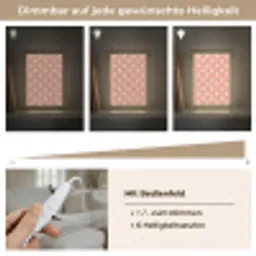 Waaier - Motief - Zalmroze Light Box met kabel (Tafellamp) klein 925 -USP_dimbaarDE