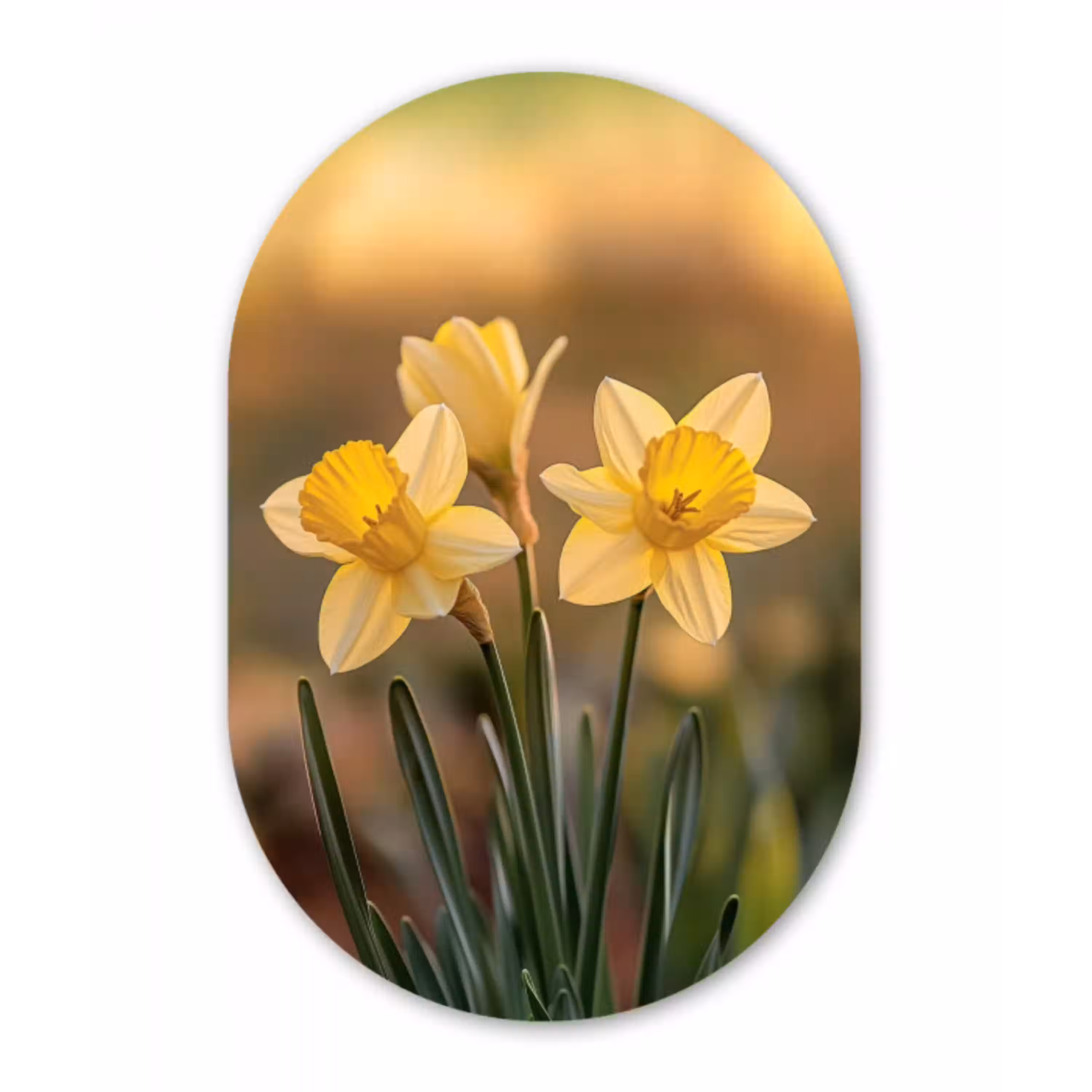 Bloemen - Geel - Wazig Wandcirkel Ovaal Aluminium middel -3d