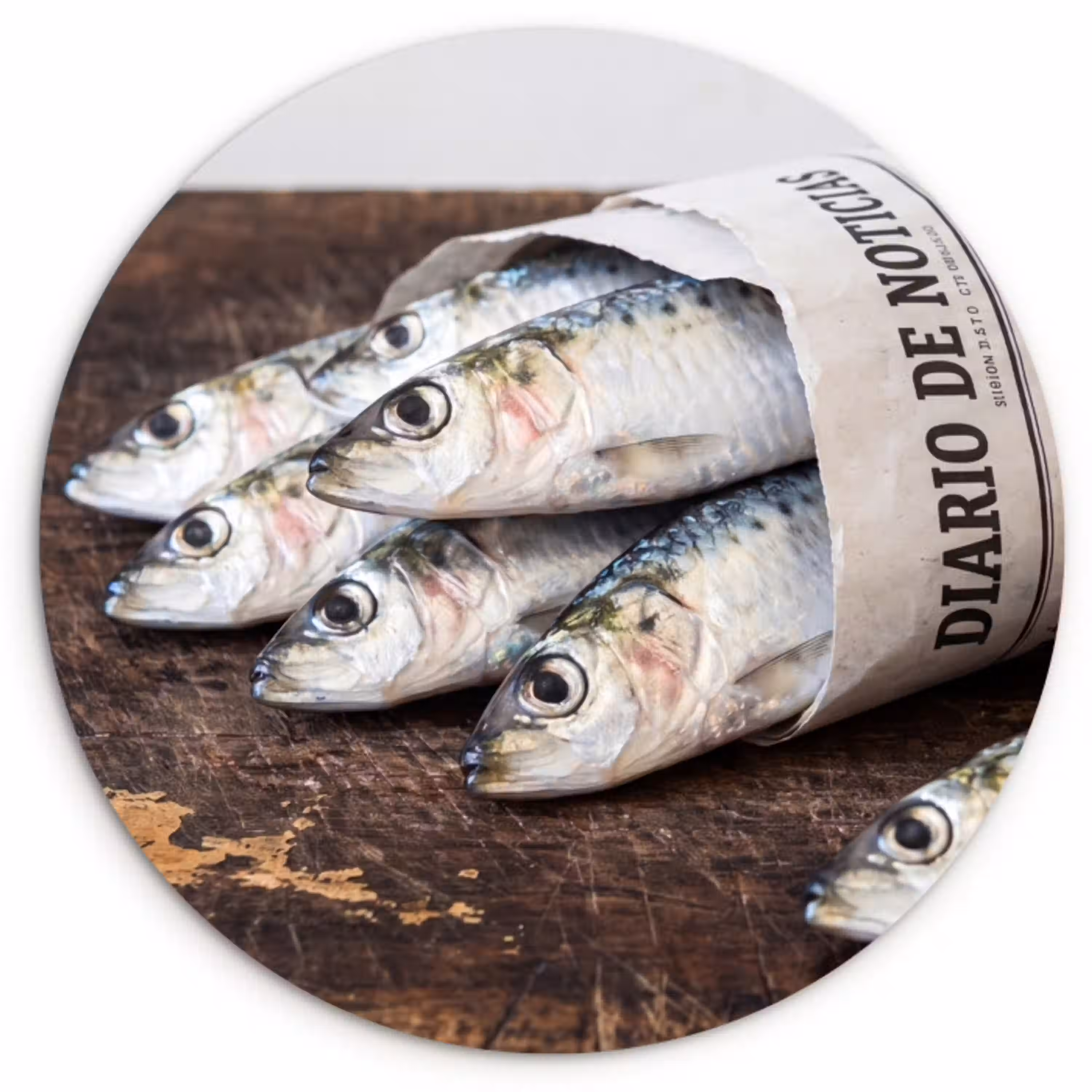 Sardientje - krant - snijplank Wandcirkel kunststof plaat 5mm dik klein -3d