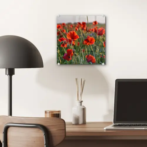 Bloemen - Klaprozen - Natuur - Rood plexiglas 5mm klein -sfeer6