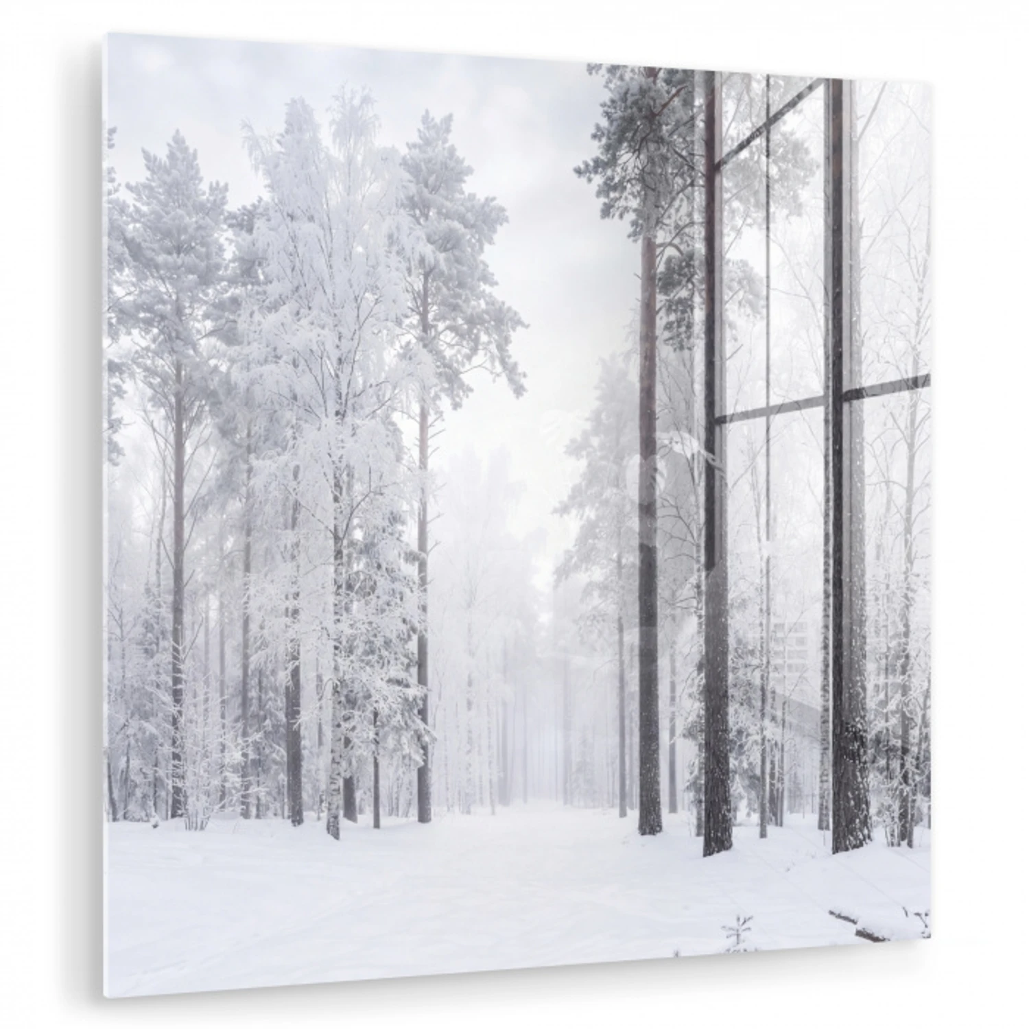 Bos - Sneeuw - Pad - Winter - Stilte plexiglas 5mm klein -zzzproduct_nieuw