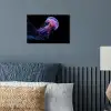 Kwal - Doorzichtig - Roze - Tentakels poster papier klein -sfeer2