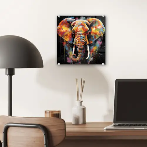 Olifant - Graffiti - Zwart - Dieren - Kleuren plexiglas 5mm klein -sfeer6