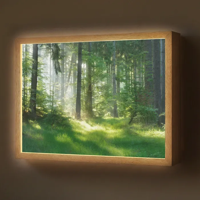 Natuur - Bomen - Bos - Groen - Zon - Gras - Planten Light Box met batterij (Wandlamp) middel -z3d_website