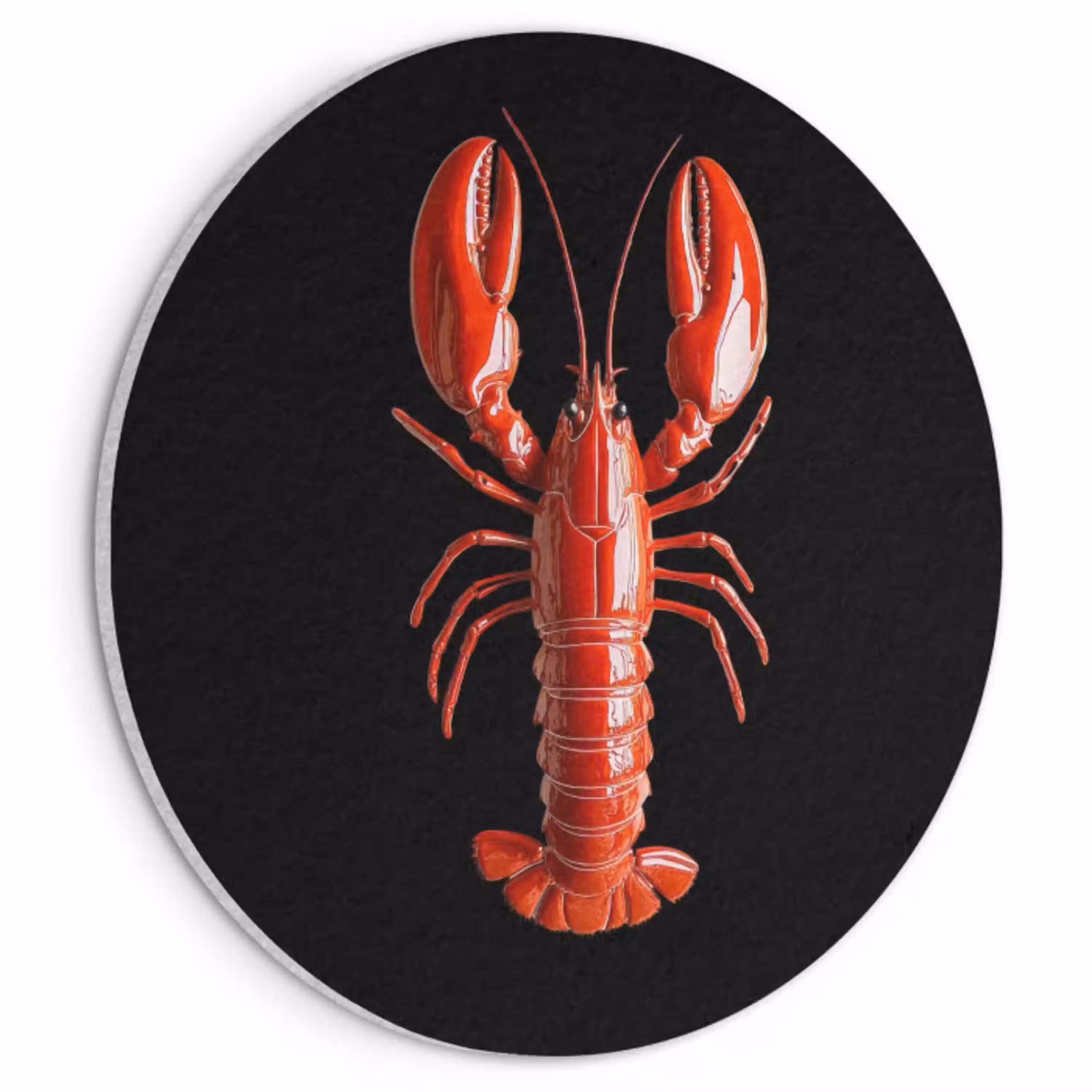 Kreeft - Glossier Rood - Zwart Akoestische PET Vilt - Rond klein -3d