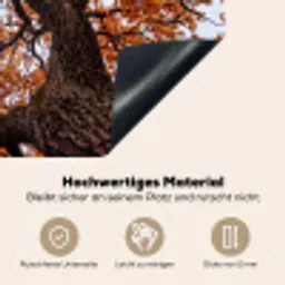 Boom - Bladerdak - Herfst - Oranje - Sfeervol Inductie beschemer met haakjes klein -ky-onderkant-de