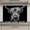 Schotse Hooglander - Horens - Zwart - Wit - Koe - Wild - Dieren keuken achterwand spatscherm klein -3d_website