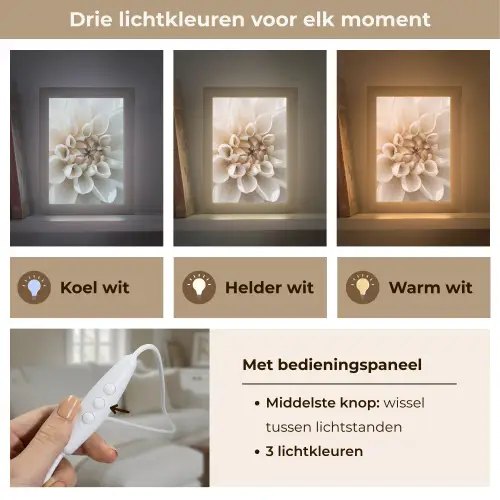 Bloemen - Wit - Natuur Light Box met kabel (Tafellamp) klein -USP_lichtkleurNL