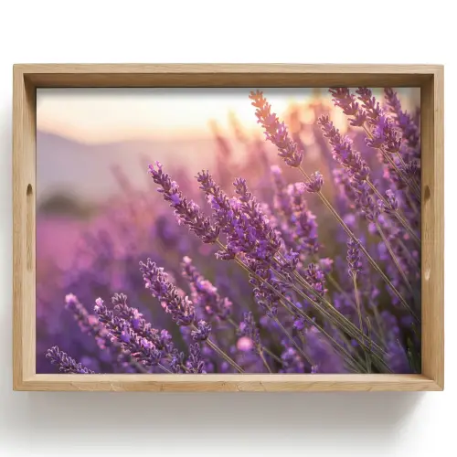 Lavendel - Paars - Zonlicht Dienblad Rechthoek middel -z3d_shopping