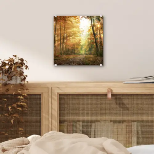 Bos - Herfst - Zon - Landschap - Natuur - Bomen - Bladeren plexiglas 5mm klein -sfeer4