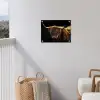 Schotse Hooglander - Horens - Zwart - Dieren - Natuur - Wild - Koe tuinposter los doek klein -sfeer8