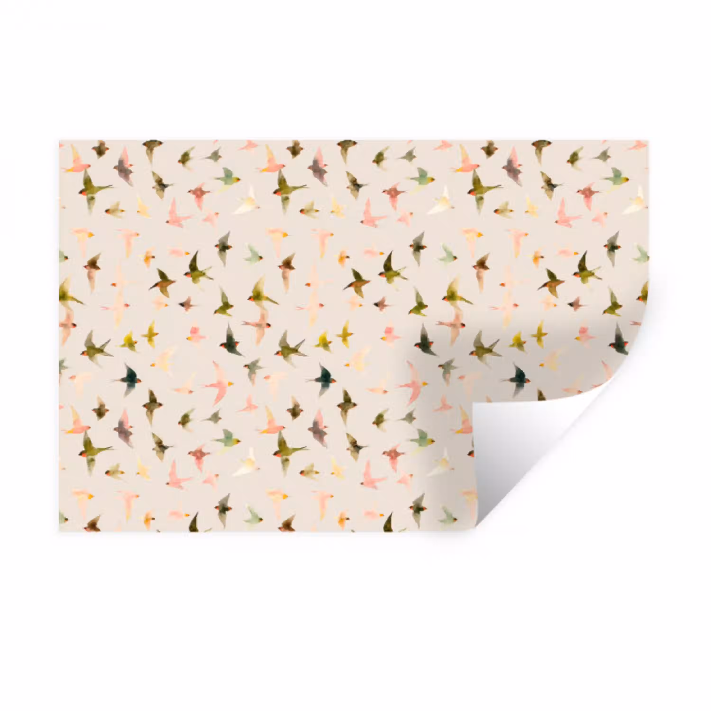 Vogels - Vliegen - Kleurrijk Muursticker klein 286 -3d