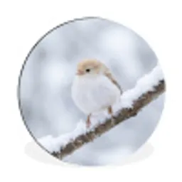 Vogeltje - Sneeuw - Tak - Winter - Zacht Wandcirkel aluminium klein -3d