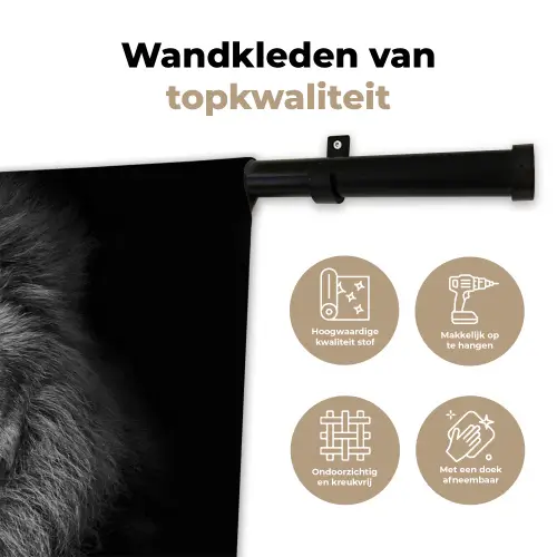 Leeuw - Dieren - Zwart - Wit Wandkleed katoen klein -sfeer2