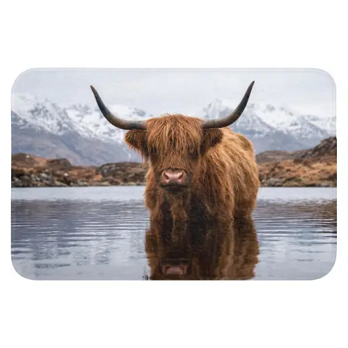 Schotse hooglander - Bruin - Water WCmat klein -3d