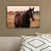 Paard - Zonsondergang - Bruin canvas 2cm klein -sfeer3