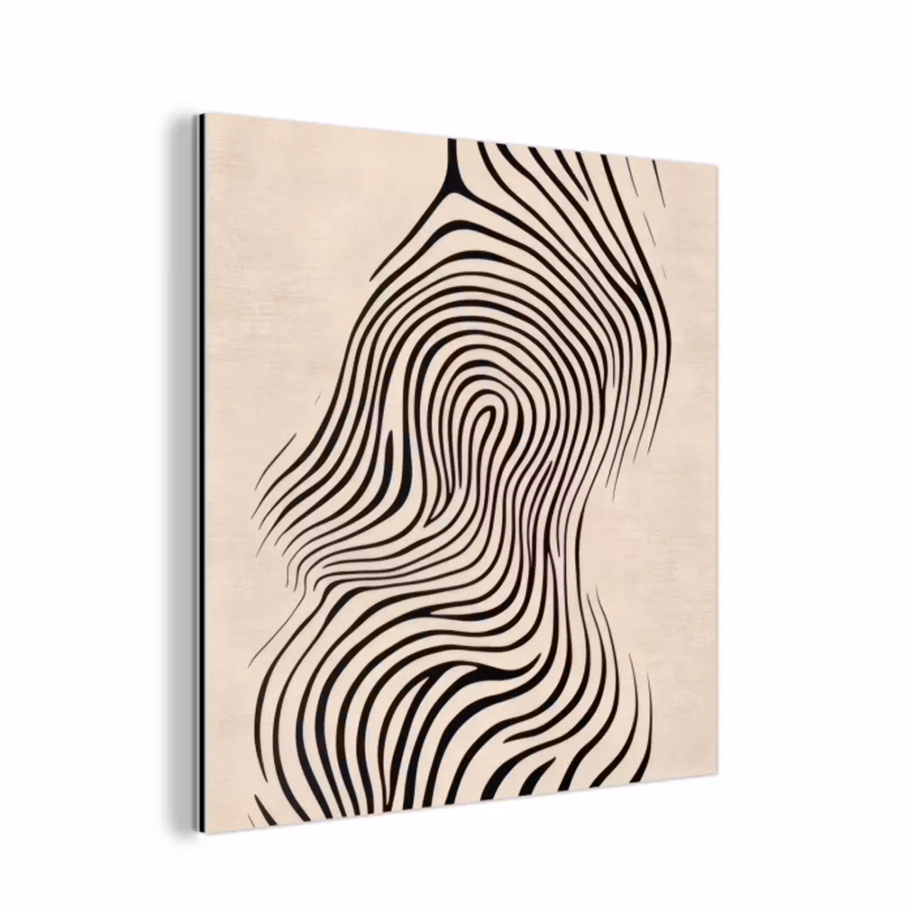 Lijnen - Abstract - Golvend - Zwart aluminium wit klein -3d