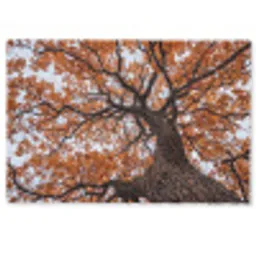 Boom - Bladerdak - Herfst - Oranje - Sfeervol Deurmat klein -zkaufland3d