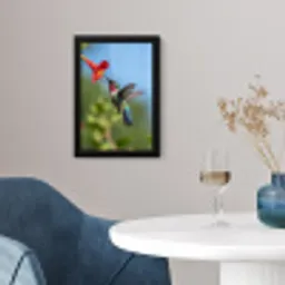 Kolibrie - Bloem - Natuur - Groen fotolijst zwart zonder passe partout klein -sfeer4