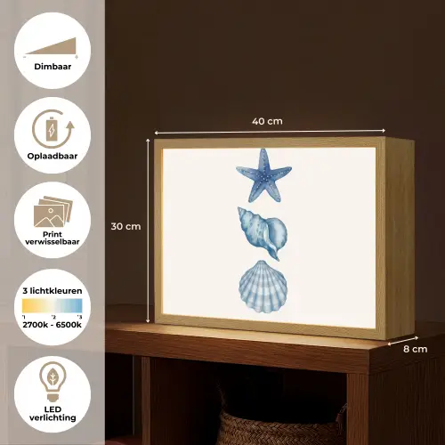 Zeester - Schelpen - Blauw Light Box met batterij (Wandlamp) middel -USP_websiteoverzichtNL