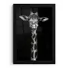 Giraffe - Portret - Dieren - Zwart - Wit fotolijst zwart zonder passe partout klein -3d