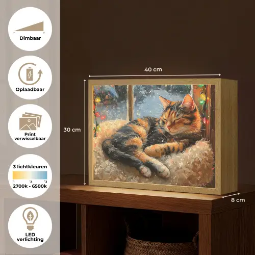 Kat - Kerst - Winter - Dier Light Box met batterij (Wandlamp) middel -USP_websiteoverzichtNL